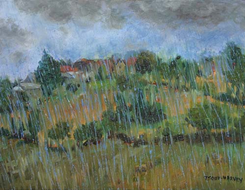Rain Landscape